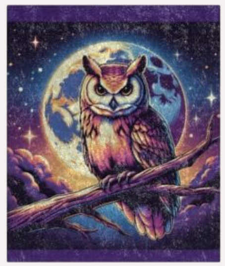 Owl Moon Crushed Velvet Blanket — Mystical Night Sky Throw
